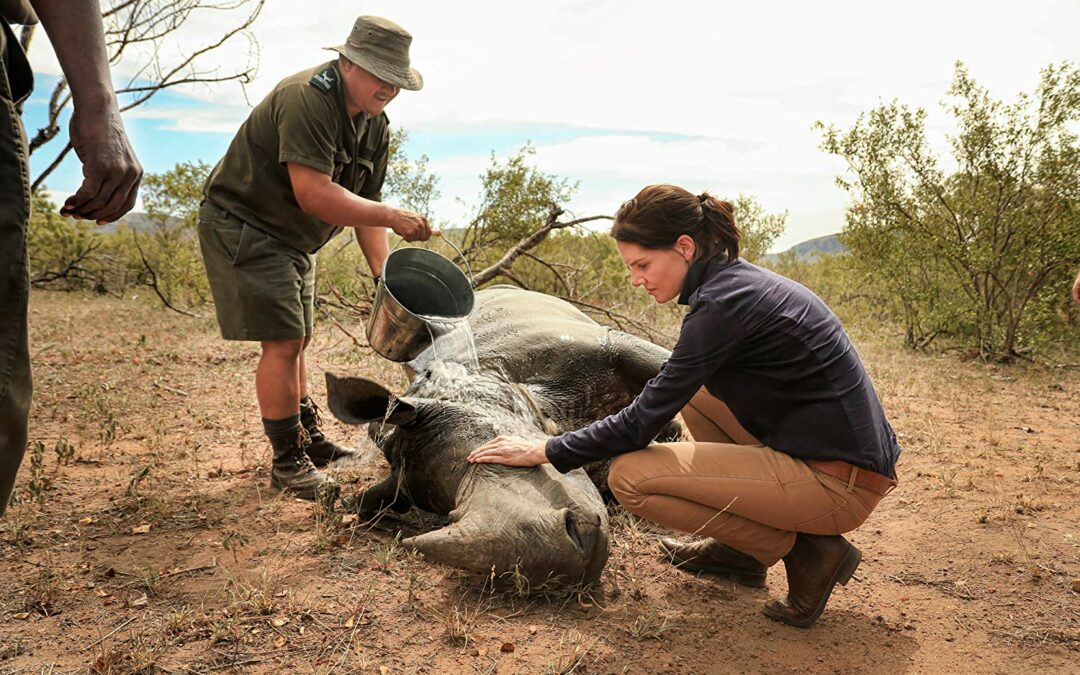 Local rhino poaching documentary wins international award