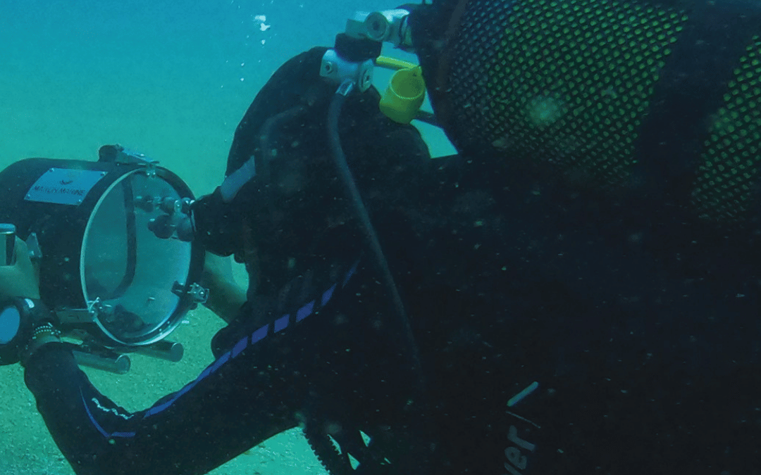 NEWF Decade Divemaster Storytelling Lab