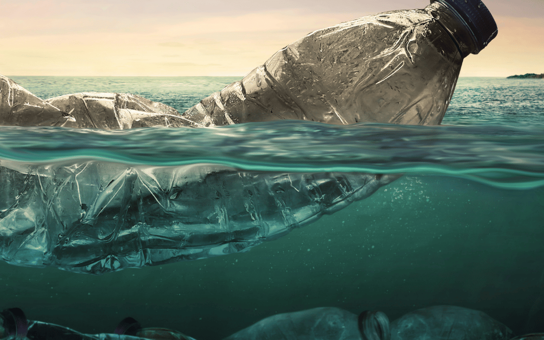 WHY PLASTIC? response to environmental crisis