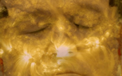 Sheffield DocFest 2022 Films and Alternate Realities