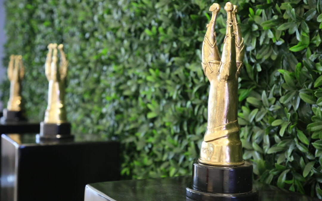 Call for SAFTAs Jury